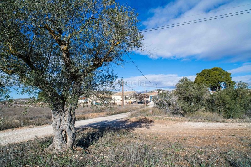 Foto 5cbee1b6-4832-4ea9-8d64-a531cefa927b. Casale in Pinoso