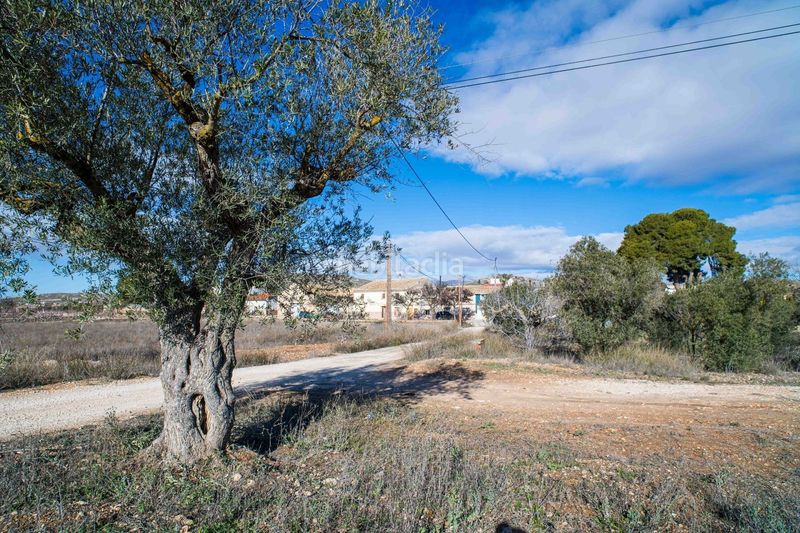 Foto 9ef9725f-15c8-434a-97bf-a2b6bb95342a. Casale in Pinoso