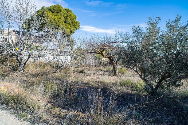 Foto d441f83d-724d-49ad-a7cc-f769bcf16083. Casale in Pinoso