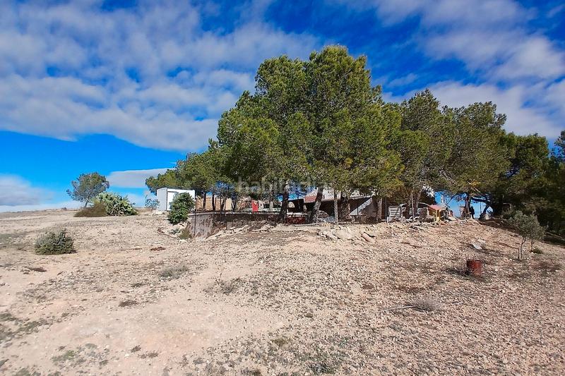 Foto 0e2a0afe-bbb4-4907-bbea-b79b6c52d10c. Masía bonita casa de campo de 6 dormitorios y 1 baño fuera de la red con piscina y gran parcela en Caudete