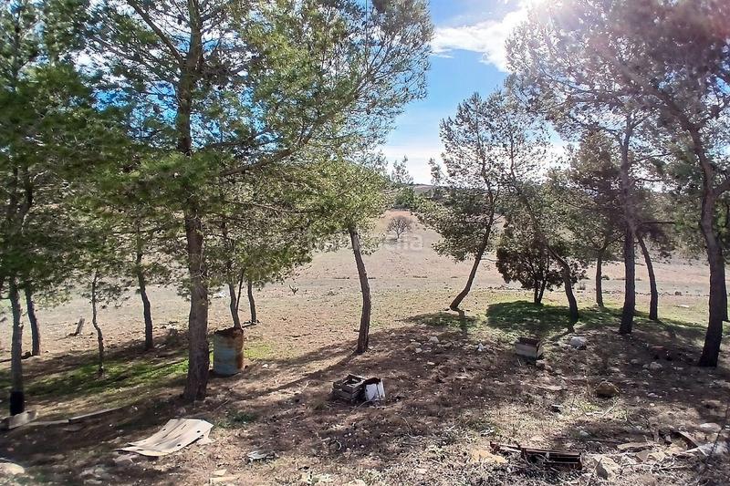 Foto bb130035-3879-45c4-9abd-88635ec94fcd. Masía bonita casa de campo de 6 dormitorios y 1 baño fuera de la red con piscina y gran parcela en Caudete