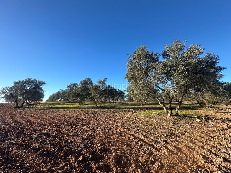 Foto 1e0c742c-32c9-457a-9044-4929fac6a1ff. Propriété dans Mollina