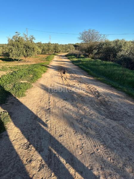 Foto 6ae0dcc4-a0f9-4775-8b2c-1f25877b11ba. Propriété dans Mollina