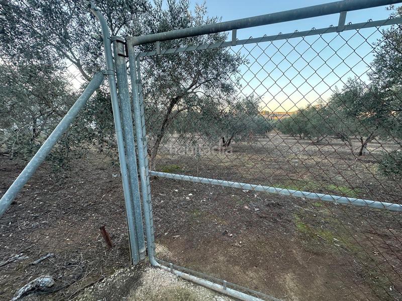 Foto 2e7e56f5-69a4-4747-851e-06c52eb528fb. Finca rústica parcela rústica de 2.000m2 (málaga) en Mollina