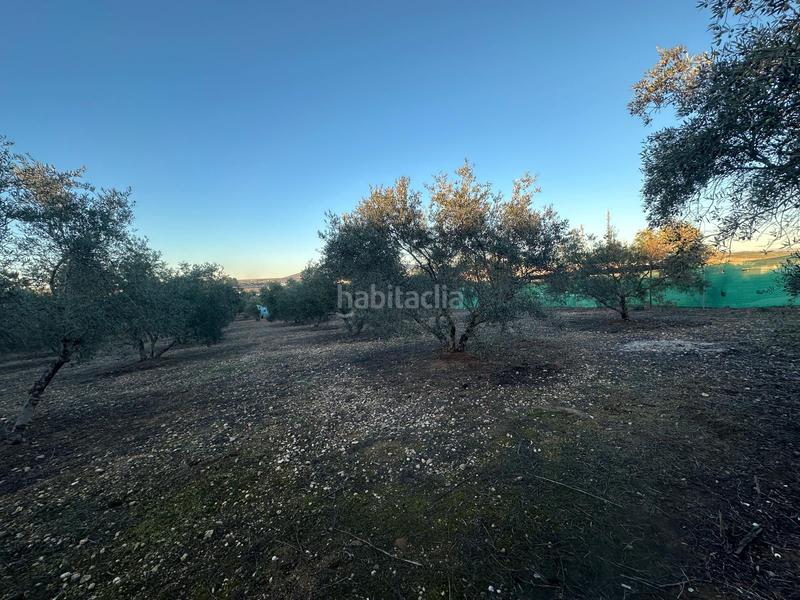 Foto 5f92dc35-f077-4745-81f2-b66516b2683e. Finca rústica parcela rústica de 2.000m2 (málaga) en Mollina