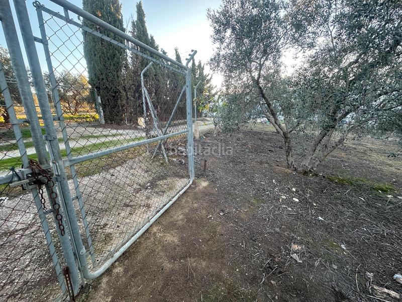 Foto 9b0e9876-e567-4fd9-b3a1-a42cf9cc3d73. Finca rústica parcela rústica de 2.000m2 (málaga) en Mollina