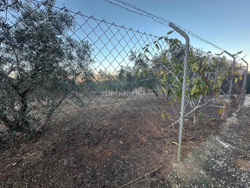 Foto affbfb51-3ad3-4ffc-96f0-160a5c6e90a6. Finca rústica parcela rústica de 2.000m2 (málaga) en Mollina