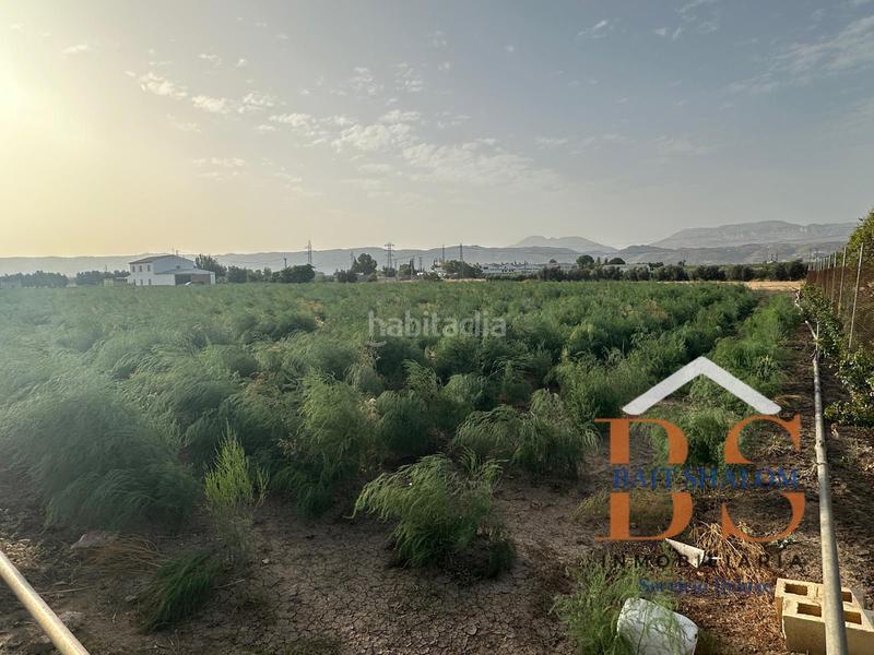 Foto 3054c3b5-b0b0-42c6-880f-c7ed5a904580. Landgut in Zona de la Vega Antequera