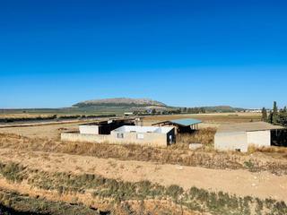 Rural plot in Mollina