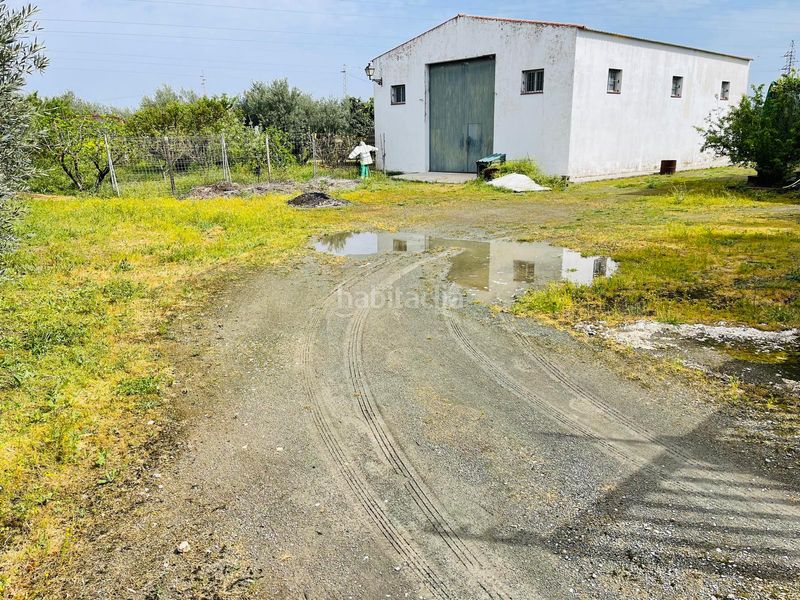 Foto 1afe23bd-4597-4916-a76d-81a5eb38d87f. Finca rústica en Zona de la Vega Antequera