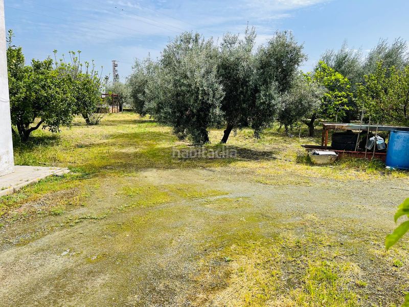 Foto 2ec5cd38-1a0d-4293-b59b-b1f243b5dbf4. Finca rústica en Zona de la Vega Antequera