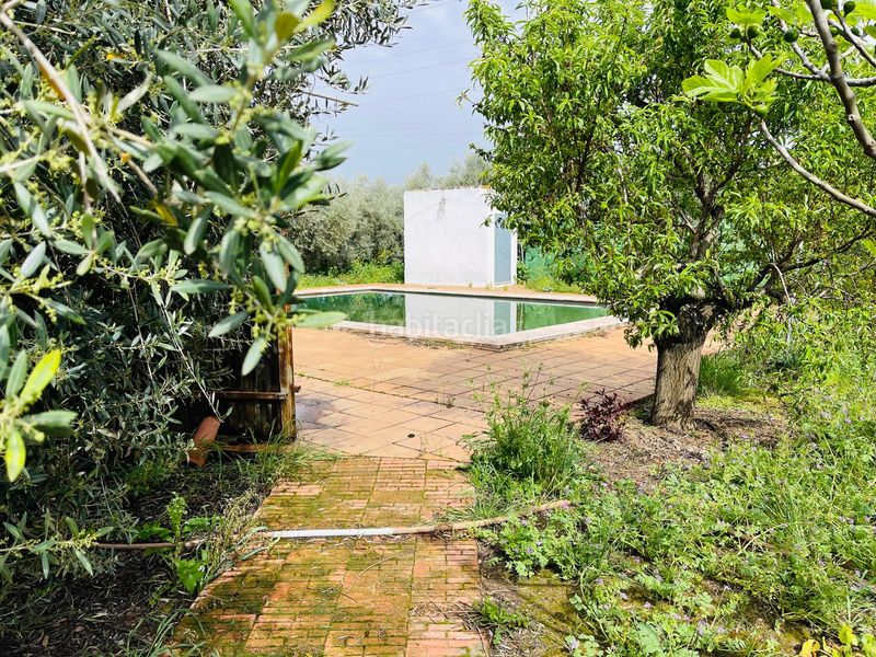 Foto 68eba516-e867-42ff-84ea-792de40f2d6e. Finca rústica en Zona de la Vega Antequera