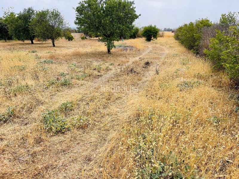 Foto 1813a4dd-baf4-418d-a768-76f3d9415060. Finca rústica a Zona de la Vega Antequera