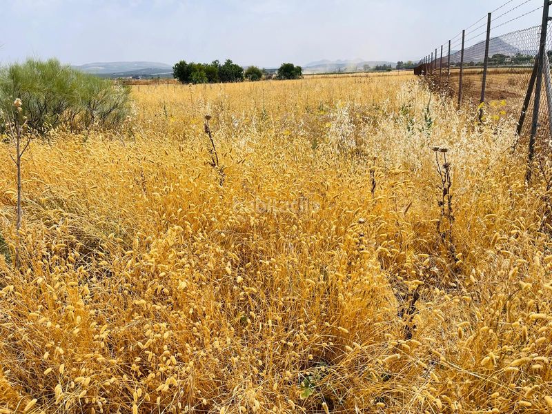 Foto b11d8542-f0ed-4e01-a31d-d9d29559e971. Finca rústica a Zona de la Vega Antequera
