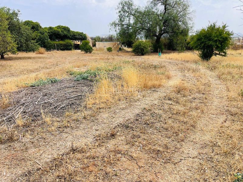 Foto f491ce75-57dc-4506-9364-3a561dc65b11. Finca rústica a Zona de la Vega Antequera