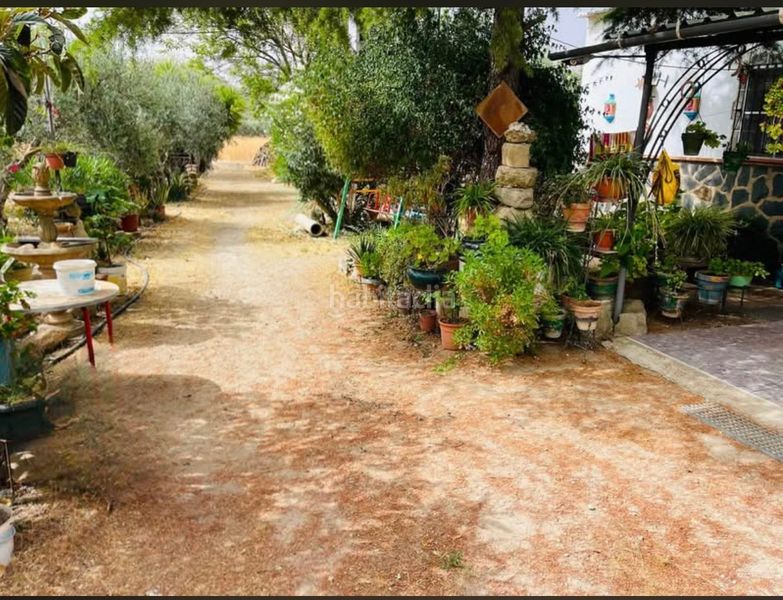 Foto e1cafd09-350d-4352-bea7-36f187fba4b9. Finca rústica en Bobadilla - Bobadilla Estación - La Joya Antequera