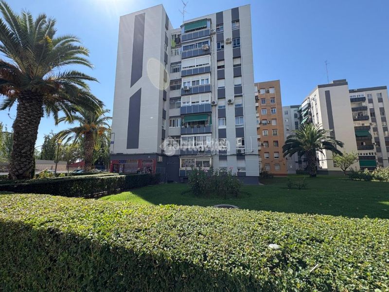 Foto 23f356a8-3b0d-44d9-83f4-3449795602a1. Piso  en venta en Sur - PAU 4 Móstoles
