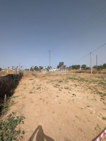 Foto 5ea51932-c59f-4e4c-b675-0779a9b76a74. Finca rústica a El Rocío - La Milagrosa Jerez de la Frontera