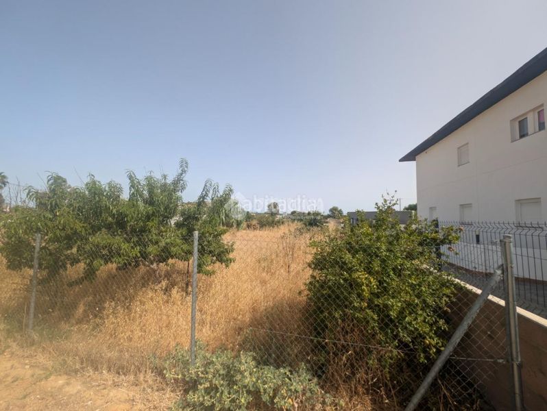 Foto 735826e8-c4ec-4c26-973a-914c19a7c71b. Finca rústica a El Rocío - La Milagrosa Jerez de la Frontera