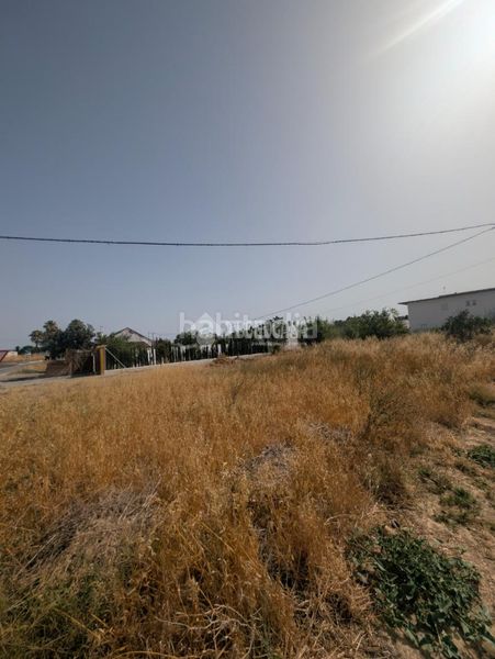 Foto d12ff3c9-64b6-4038-9f9b-848cd92da9c8. Finca rústica a El Rocío - La Milagrosa Jerez de la Frontera
