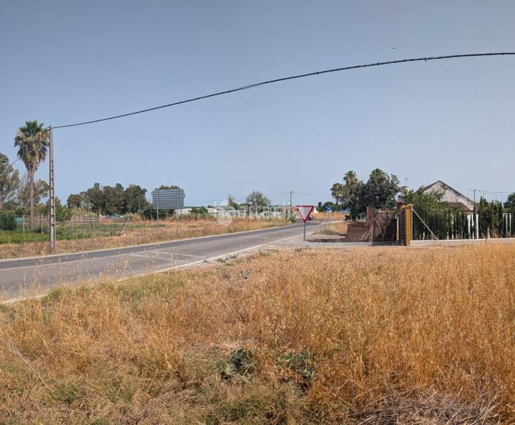 Foto ded9ffdd-42fc-4a8e-bcbc-d0d83f81c88f. Finca rústica a El Rocío - La Milagrosa Jerez de la Frontera
