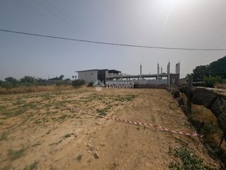 Finca rústica en El Rocío - La Milagrosa. Terrenos en venta en jerez de la frontera