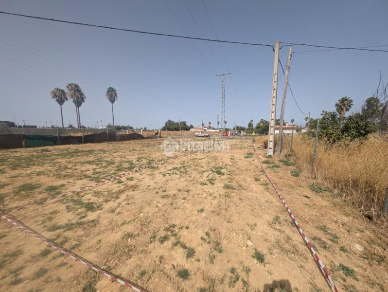 Foto ff4b150b-cf5b-4e3c-92bf-9c78633a9f13. Finca rústica a El Rocío - La Milagrosa Jerez de la Frontera