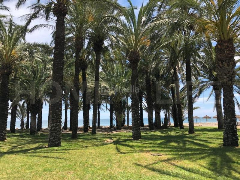 Foto 8f5e0d25-5c97-420c-b2c1-f0adbf456574. Piccolo appartamento con parcheggio in La Carihuela - Los Nidos Torremolinos