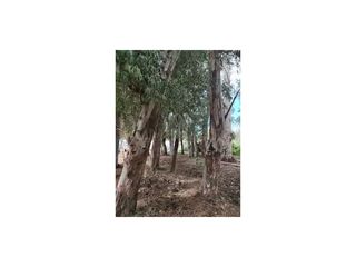 Casale in Centro. Finca rùstica de 3.000 m, totalemnte vallada y con suminitro de