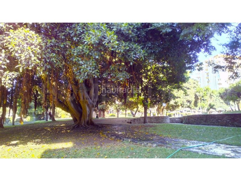 Foto a55d160a-84fe-42b4-9799-86a7811da314. Apartament amb piscina a Parque de la Paloma Benalmádena