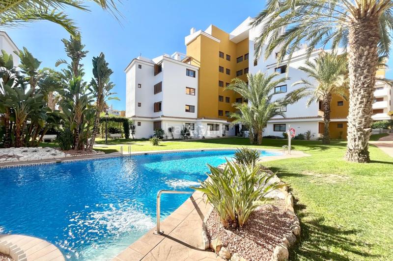 Foto 761c71c1-8835-4c44-8c7f-d0e848cd4af8. Affitto appartamento con riscaldamento piscina in Torrevieja