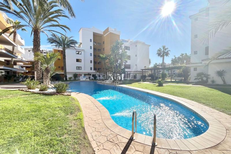 Foto 3733bb48-cd30-44af-a342-518539c872f2. Alquiler piso disponible a partir de ahora...el apartamento se encuentra en una urbanización privada con acceso controlado en Punta Prima, cerca en Torrevieja