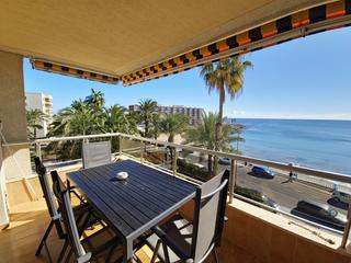 Affitto Piccolo appartamento in Zona Playa de los Locos. Alquiler desde octubre 2025 hasta finales de mayo 2026iexclte of