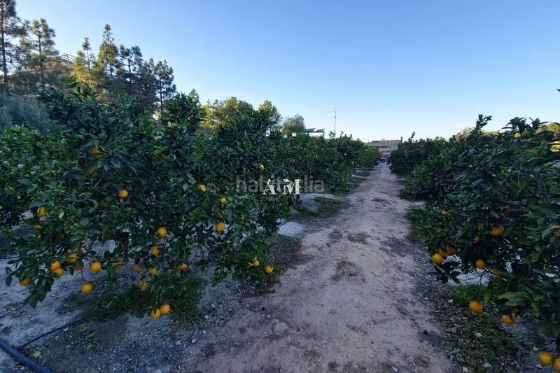 Foto c9746c47-1b23-4cd9-a661-6615f122fb35. Affitto casa con riscaldamento parcheggio piscina in Jacarilla