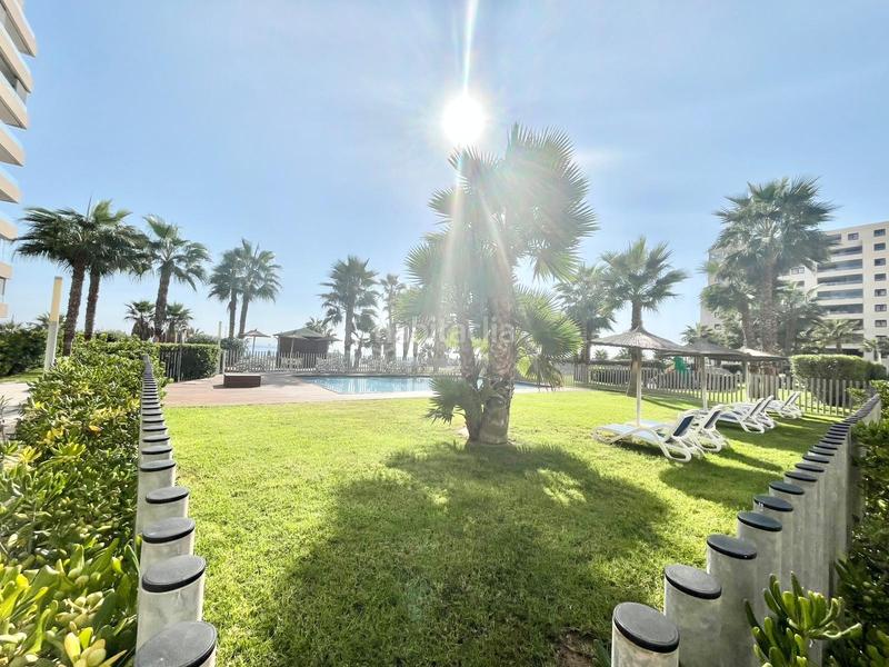 Foto 5fbe10ad-df5c-41d6-9cab-fbd200b0ee3b. Lloguer apartament amb calefacció aparcament piscina a Torrevieja