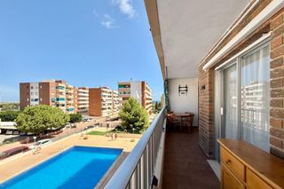 Lloguer Apartament a Punta Prima. Disponible desde septiembre para todo el añobonito apartamento u