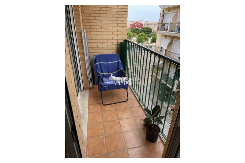 Foto e0314e5e-4b24-4a77-a2a3-ca361f81404d. Pis amb calefacció aparcament piscina a Almoradí