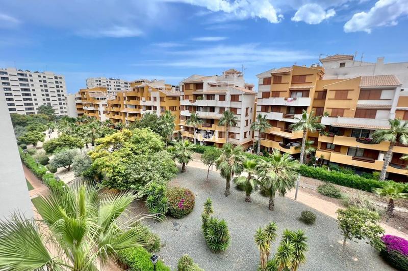 Foto 198eacc3-f724-4daf-be6f-2453c9b280fb. Rent flat with heating parking pool in Punta Prima Torrevieja