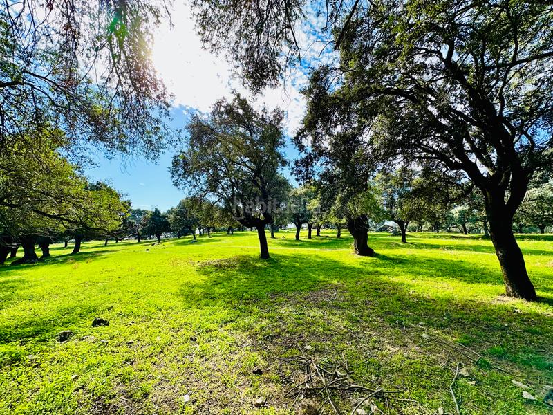 Foto 33e092a6-631f-4218-a9c3-381a9858895b. Attique avec cheminée chauffage parking piscine dans Galapagar