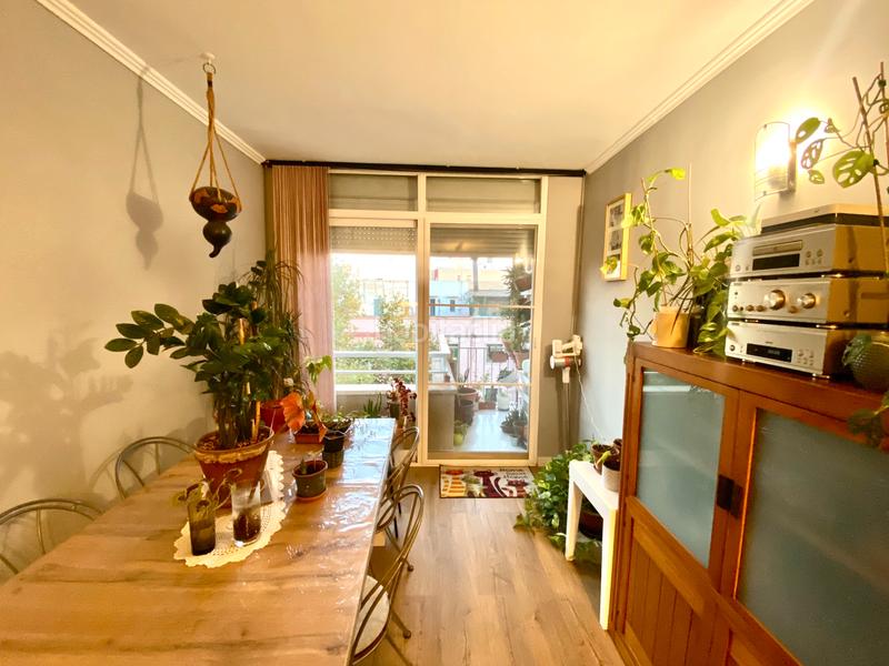 Foto 8b0aea8b-930b-4153-ac88-deb9657b2582. Attique dans avinguda gaspar de bennazar 32 dans Plaça de Toros Palma de Mallorca