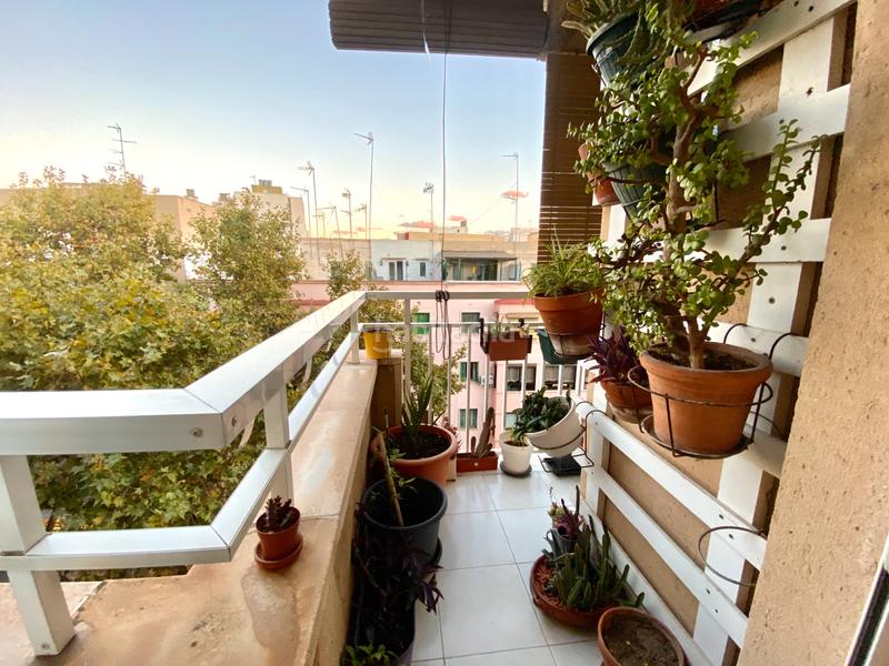 Foto 6a0dc44c-c505-4219-83e8-7c0edfb222ae. Flat with heating parking in Plaça de Toros Palma de Mallorca