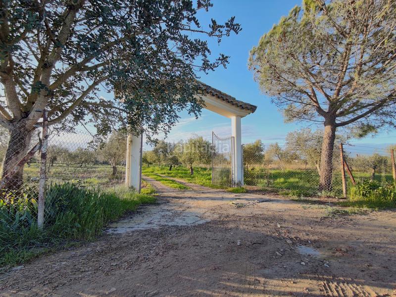 Foto 1971e60a-6d9f-4490-8868-9033b009fc1b. Finca rústica a Lebrija