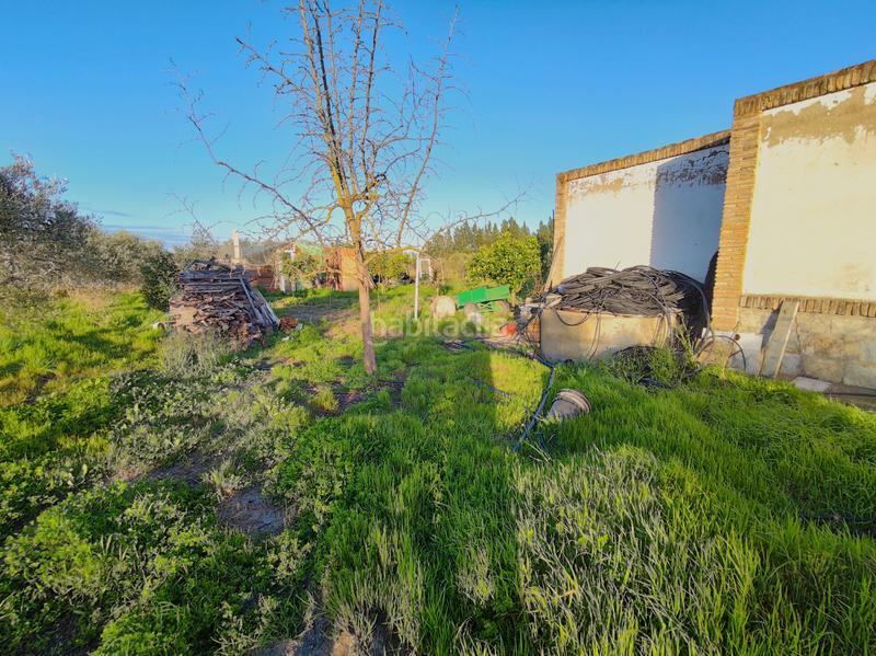 Foto 2b380470-7aab-4c7a-88df-de8611ccc55b. Finca rústica a Lebrija
