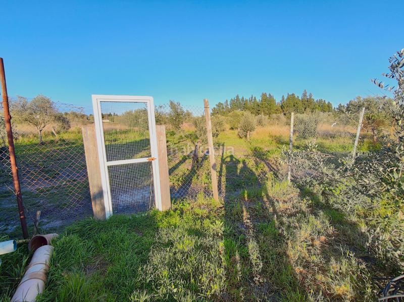 Foto 324b176b-78c7-4485-9dbe-6a75ae1b877b. Finca rústica a Lebrija