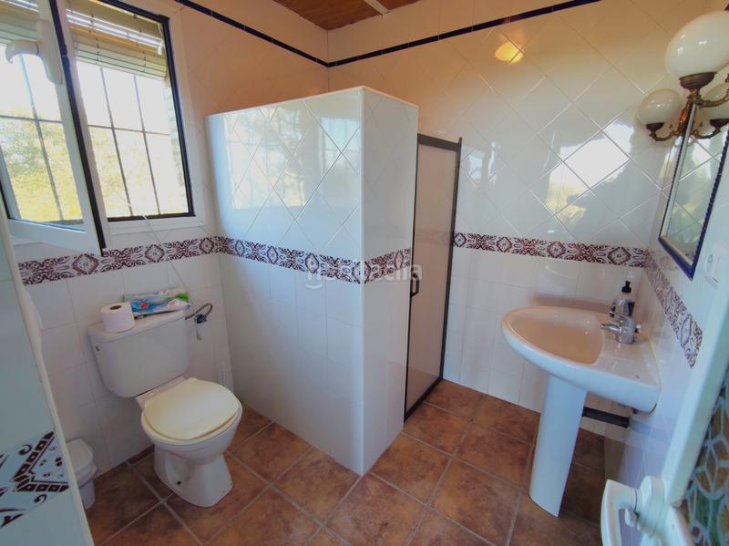 Foto 74d773b3-d9ab-4404-87ad-19e4367addeb. Finca rústica a Lebrija