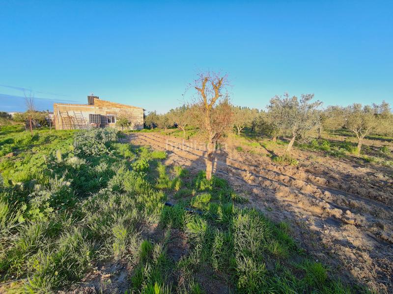 Foto 798618fb-398e-4b15-a34a-741ff6618ab0. Finca rústica a Lebrija