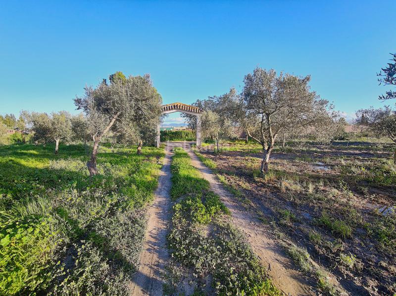 Foto 8adeb511-41f2-41c2-82e0-204afa7efd72. Finca rústica a Lebrija