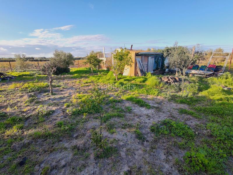Foto aa6606ca-44e1-4874-8575-c59fedd04887. Finca rústica a Lebrija