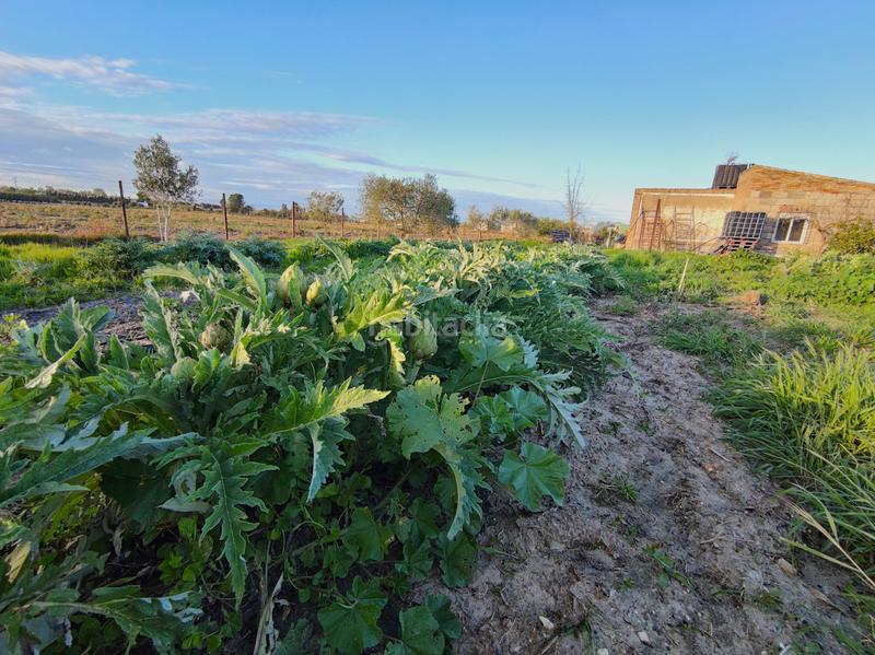 Foto bb7cecbb-3288-4169-8fbb-0163a522bff7. Finca rústica a Lebrija