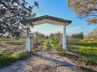Finca rstica en Lebrija. Finca rstica en zona las arenas